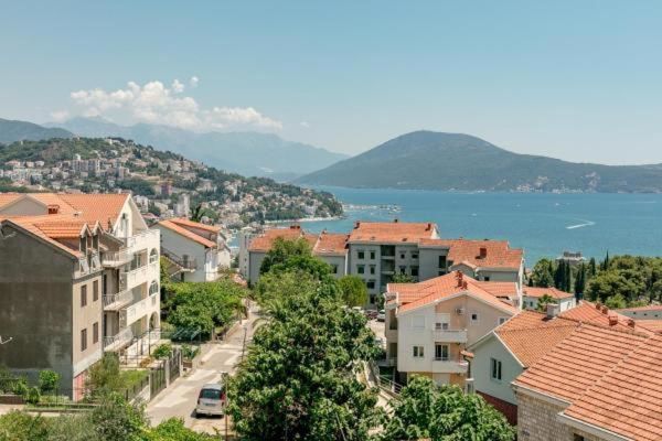Апартаменты Vasic Apartments Херцег-Нови-73