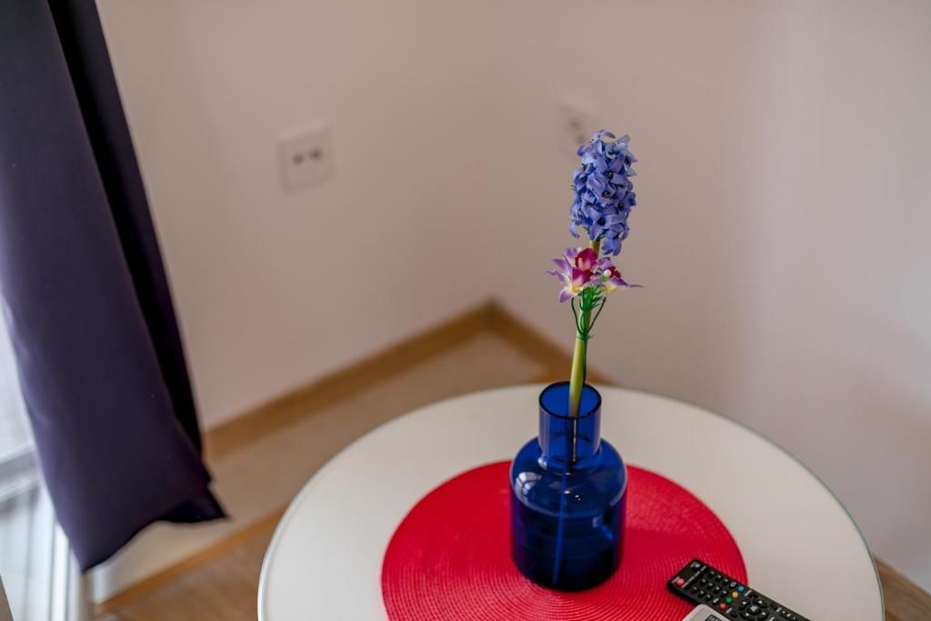 Апартаменты Vasic Apartments Херцег-Нови-74