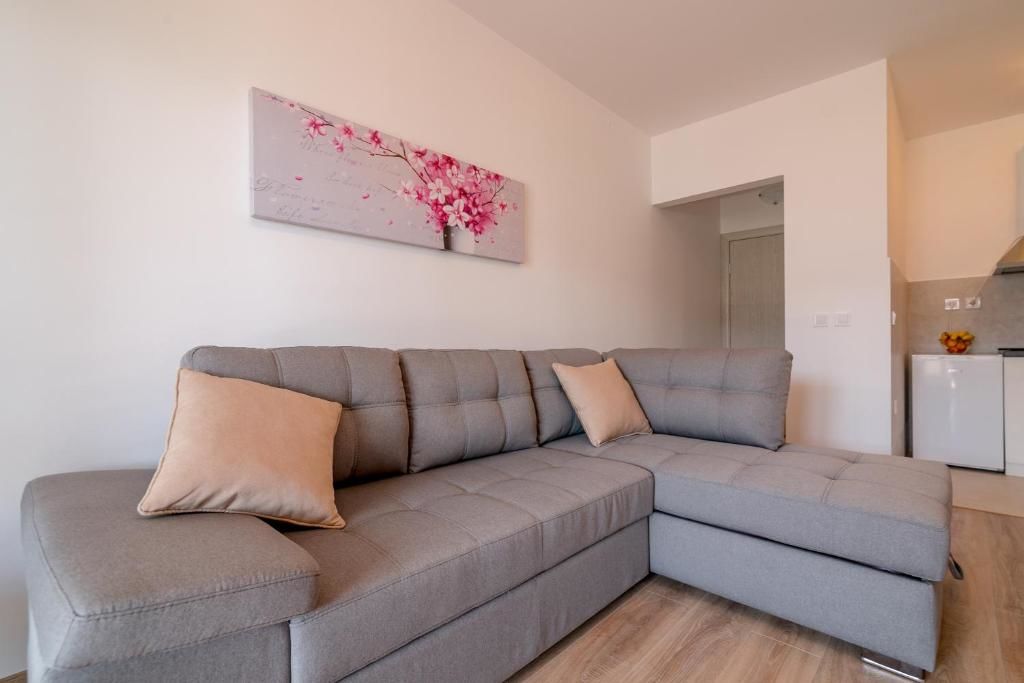 Апартаменты Vasic Apartments Херцег-Нови-102