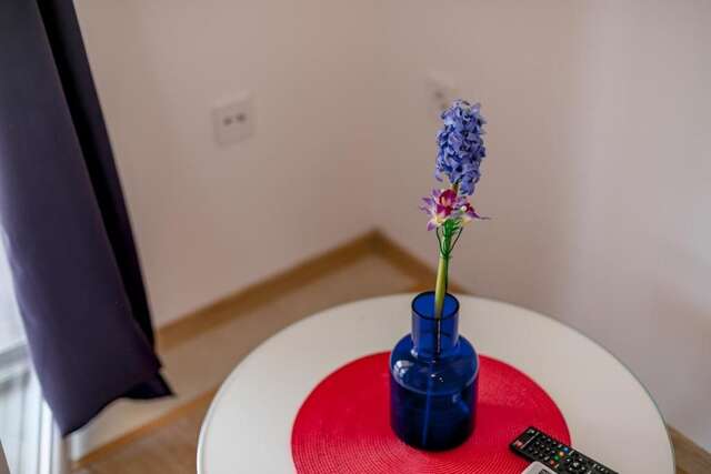 Апартаменты Vasic Apartments Херцег-Нови-73